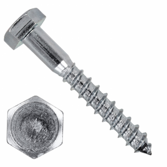 Шуруп  с шестигранной головкой 10х80