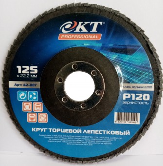 Круг лепестковый "КТ Professional"  125*22,2  P80